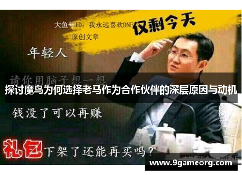 探讨魔鸟为何选择老马作为合作伙伴的深层原因与动机